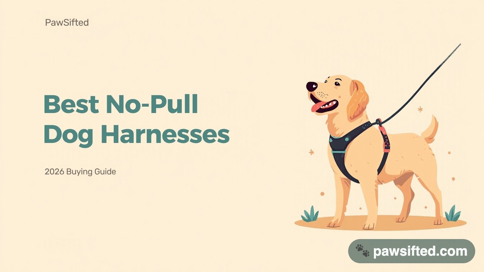 Golden retriever walking on a leash in a no-pull harness